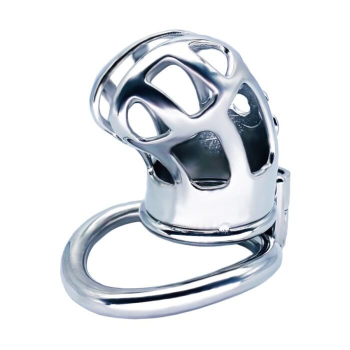 Cage de Chasteté Steel Royal